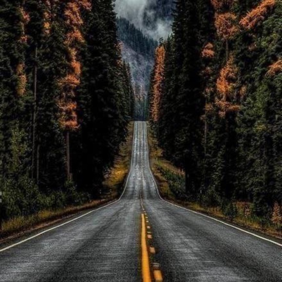 Meet your Posher, Lincoln - Picture 1 of 1